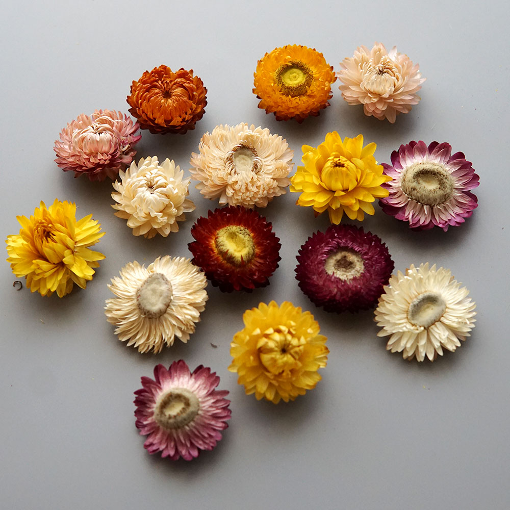 Natural Dried Colorful Chrysan - огляд і ціна Baby Products For 1 Year Old