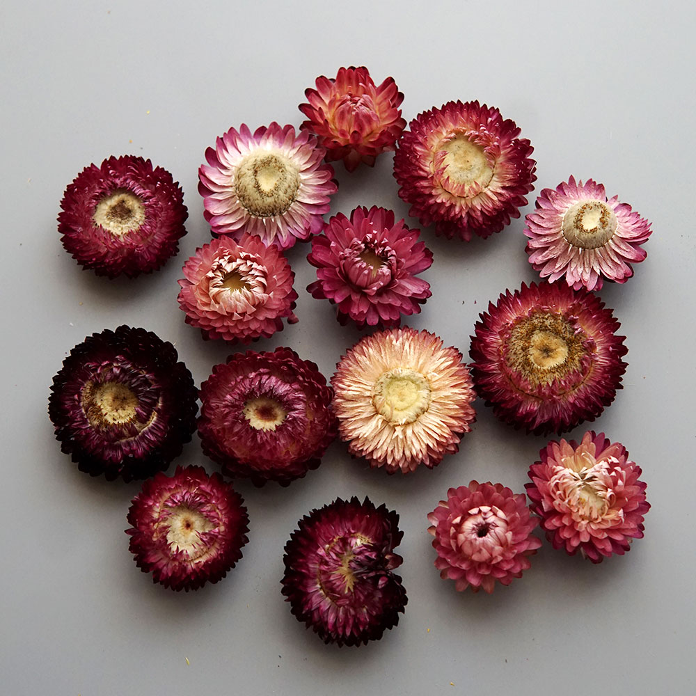 Natural Dried Colorful Chrysan - огляд і ціна Baby Products For 1 Year Old