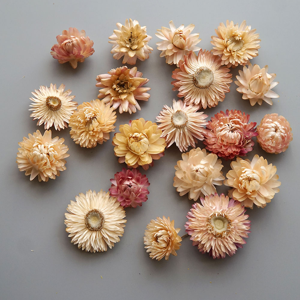 Natural Dried Colorful Chrysan - огляд і ціна Baby Products For 1 Year Old